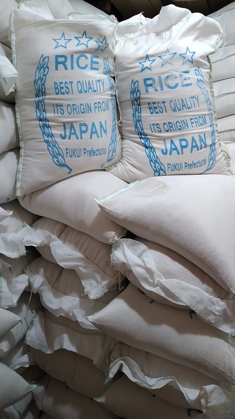 خرید و فروش برنج ژاپنی گرده (  کوشیکاری و فوجی موری ) 
